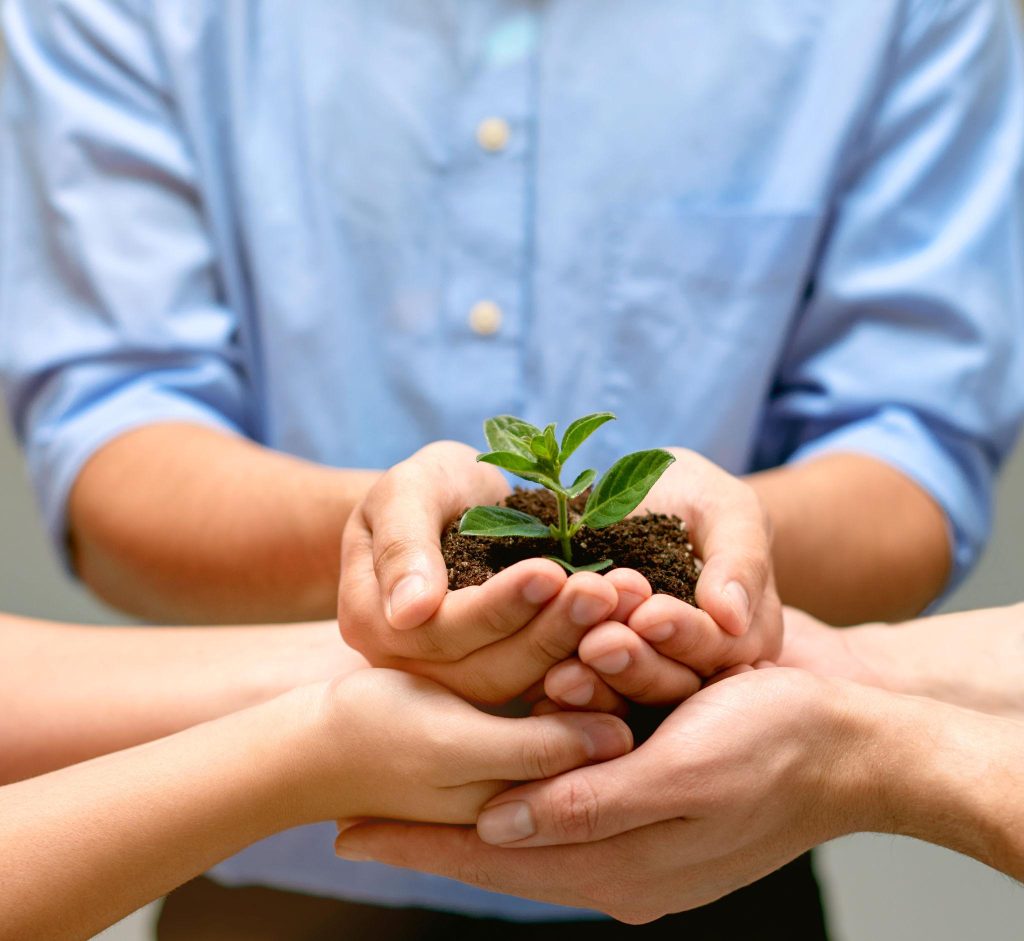 Role of Individuals